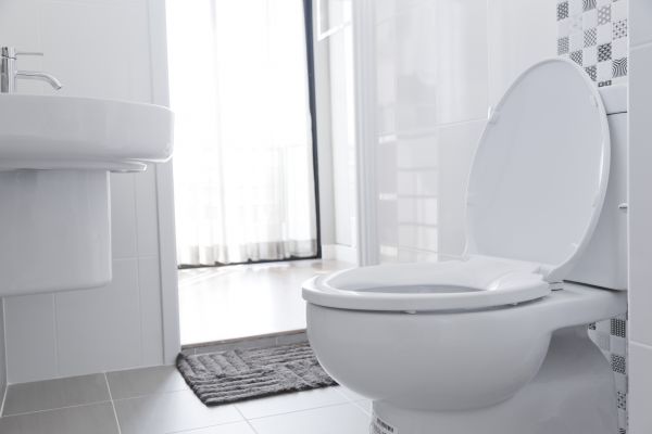 Cost of Toilet Relocation in Overland Park