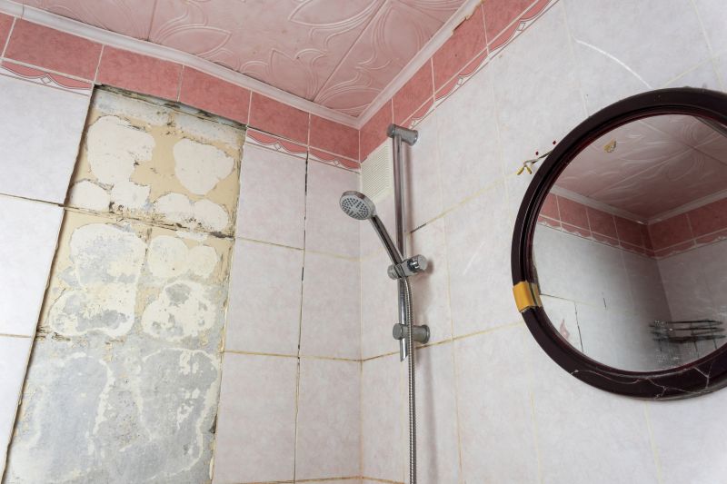 Top Shower Remodeling Companies in Gardner, KS